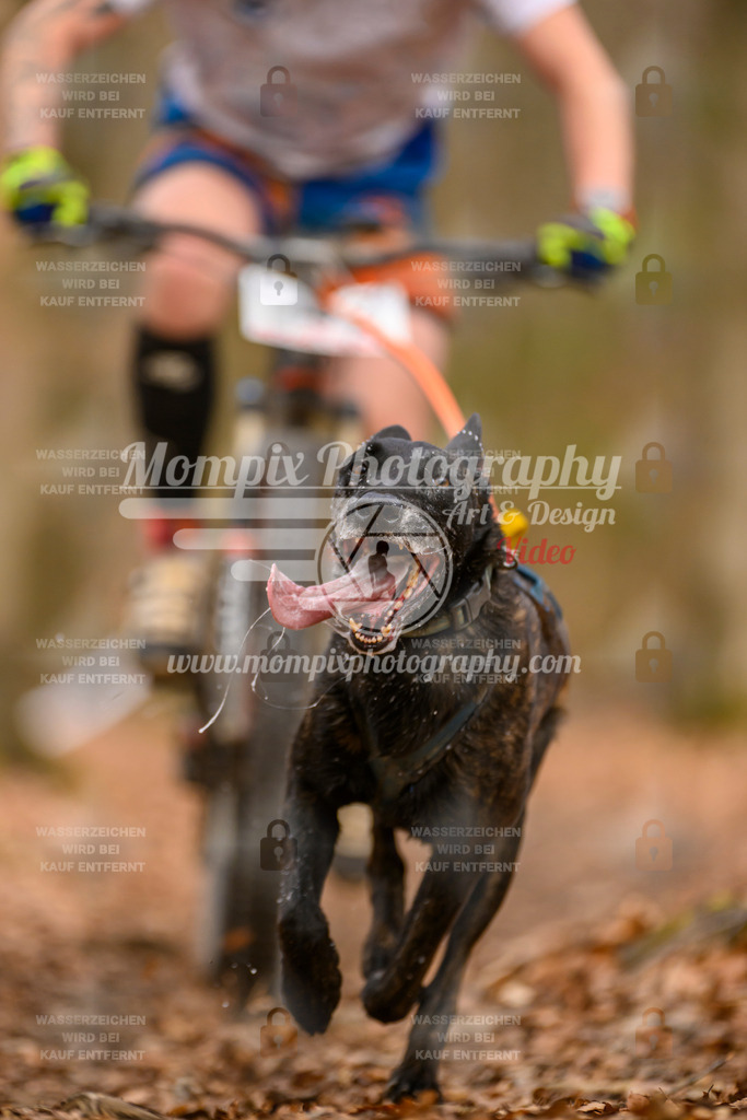 MompixPhotography_Habay2025_SA_Bike-81 | PayLife