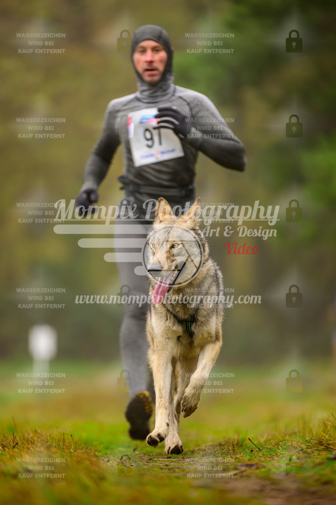 MompixPhotography_Bischwiller2025_Canicross-157 | mompixphotography