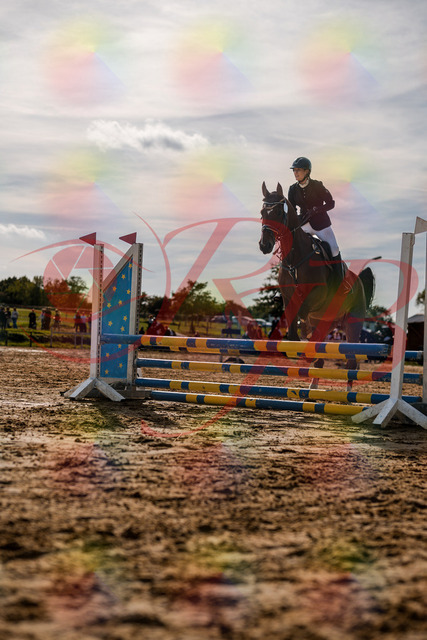 2026_10_03_Siefer-Hof_155552_Z63_10572423 | Professionelle Reitsport-, Turnier- und Eventfotografie von Robert Broda. Galerien mit ausgewählten und bearbeiteten Bildern direkt online ansehen und bestellen.