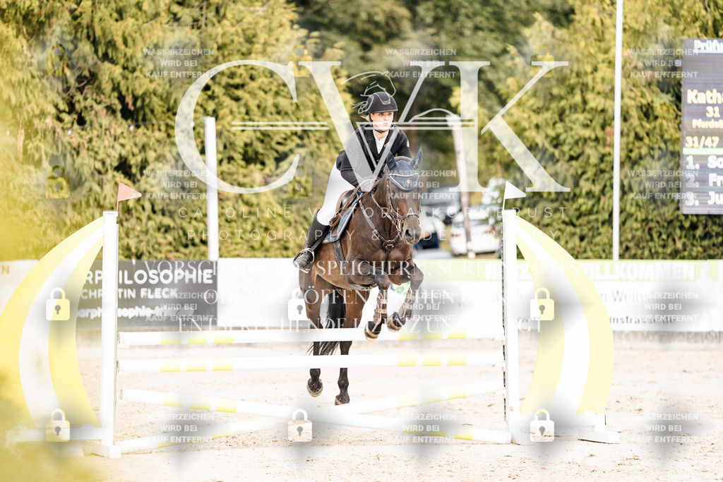 CK902755 | Turnierfotografie Pferdefotografie Trier Rheinland-Pfalz Pferdesport Reitsport Tierfotografie Sportfotografie Pferdevideo Pferdevideografie Equestrianvideography equestrianphotography  - Realisiert mit Pictrs.com