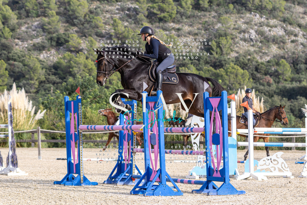 IMG_4415 | s-jay-photography - Realisiert mit Pictrs.com