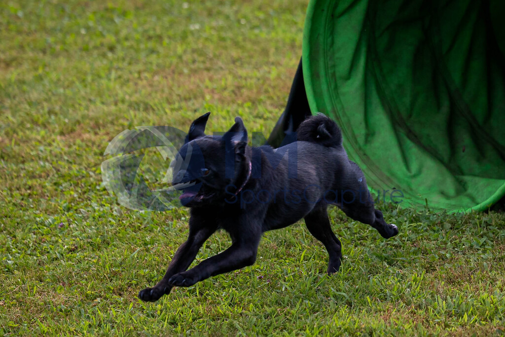 TP-20240815-0087 | Copyright: Trainproduction / Matthias Trinkl