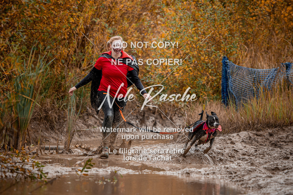 nelerasche_Creepy2025_Sa11-12_397 | nelerasche