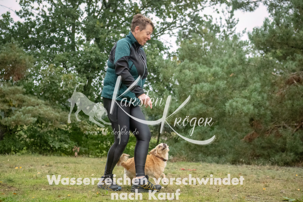 1025_ZZ92072-Bearbeitet | kk-dogfotos