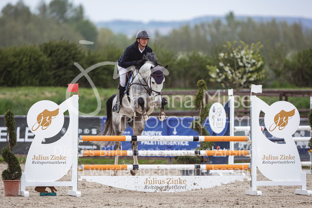 250417_Springpferde-L1-292 | Deine schönsten Turniermomente als professionelle Fotos! Entdecke hochwertige Pferdesport-Fotografie im Online-Shop. Jetzt Fotos finden & bestellen!