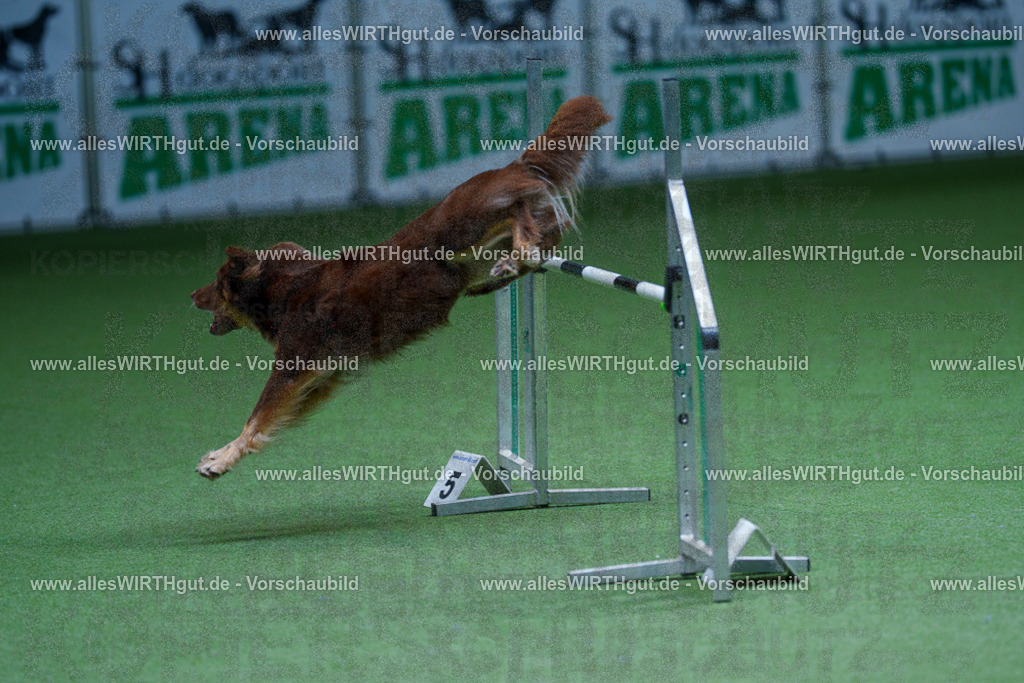 @allesWIRTHgut_Tierfotografie - www.allesWIRTHgut.de - 2604251221-7R501498 | Professionelle Tierfotografie in Mönchengladbach von Daniel Wirth (allesWIRTHgut). Liebevolle & natürliche Bilder von Hunden & Katzen für unvergessliche Erinnerungen.