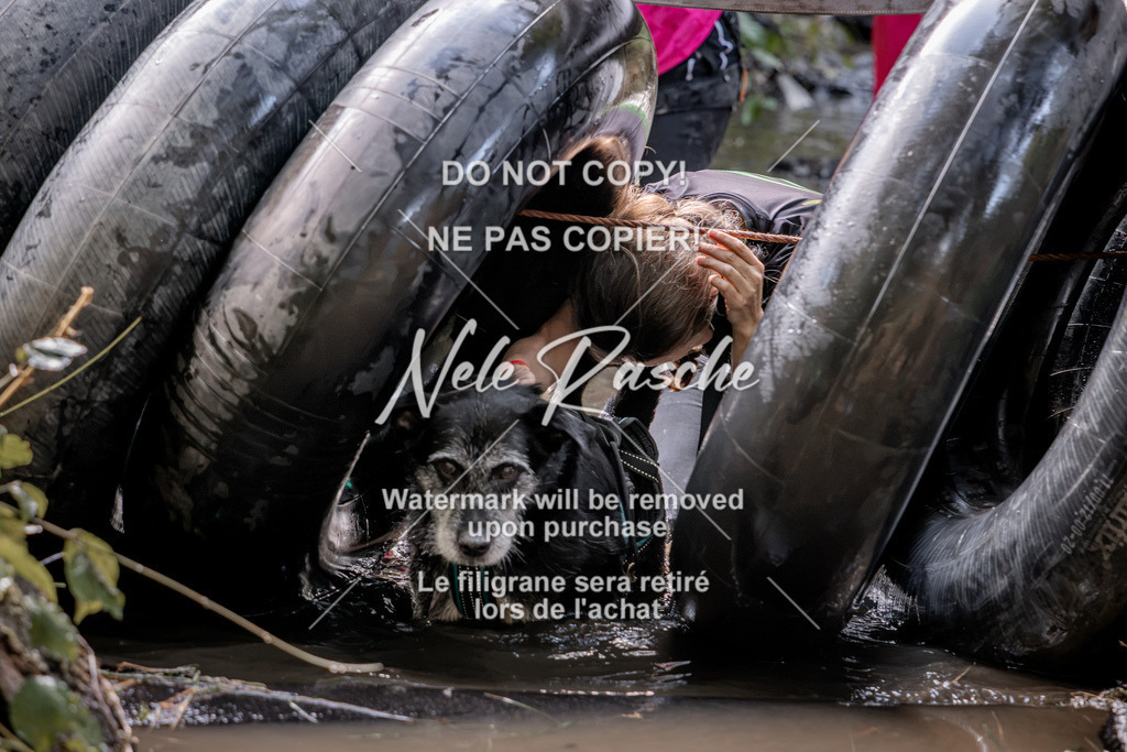 nelerasche_Hunsrück2026_Sa1400-1500_312 | nelerasche