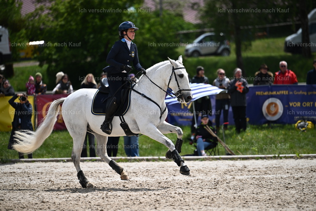 PI26_SP_Sara_Landvogt_226_5891.JPG | working equitationturnier fotograf videograf stoibphotography marixx film working equitation deutschland reitsport turnierfotografie eventfotografie equestrian events