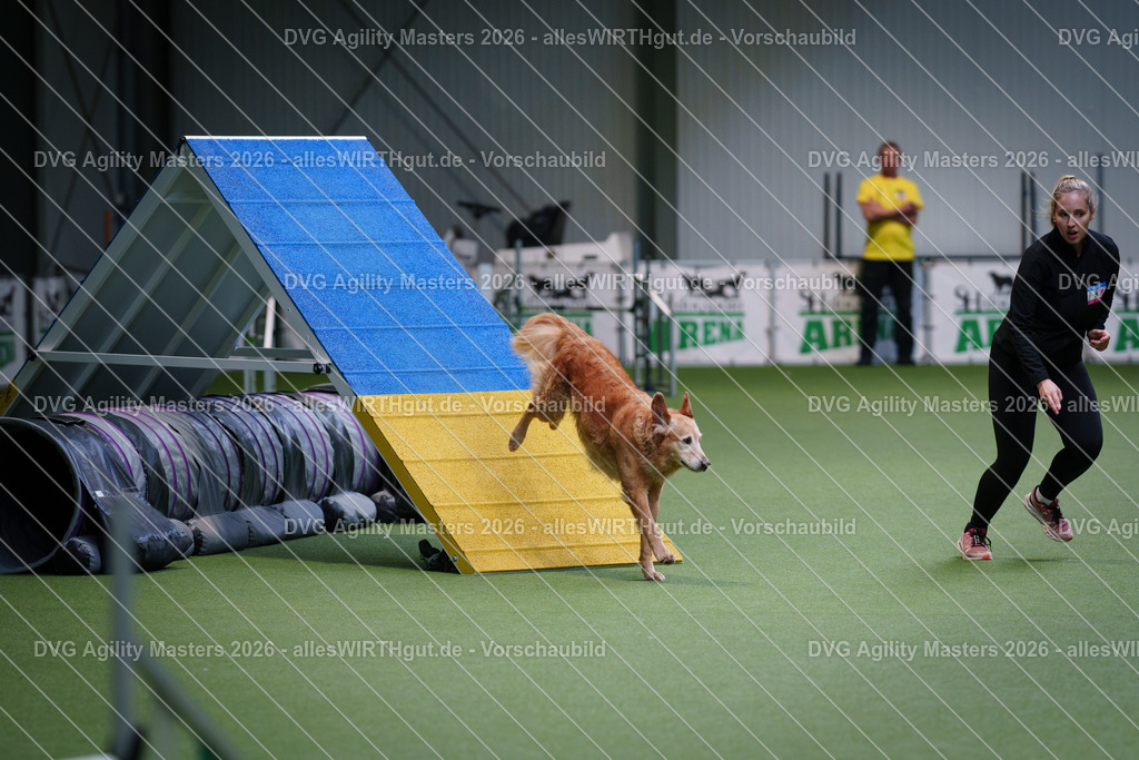 allesWIRTHgut_Tierfotografie-DVG_Agility_Masters_2026-13_28-7R509495 | Professionelle Tierfotografie in Mönchengladbach von Daniel Wirth (allesWIRTHgut). Liebevolle & natürliche Bilder von Hunden & Katzen für unvergessliche Erinnerungen.