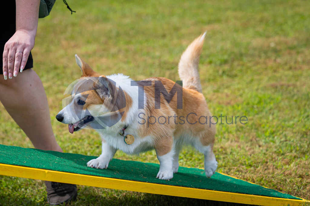 TP-20240815-0198 | Copyright: Trainproduction / Matthias Trinkl