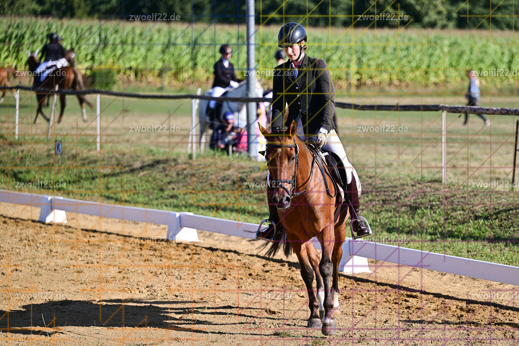 30 Jahre RFV Pulsnitz e.V., Pulsnitz am 09.08.2026 | Zur 28. breitensportlichen Veranstaltung des RFV Pulsnitz e.V. fanden verschiedene Wettbewerbe in nahezu allen Disziplinen des Pferdesport statt. - 04 Großer Dressur-Wettbewerb - Realisiert mit Pictrs.com
