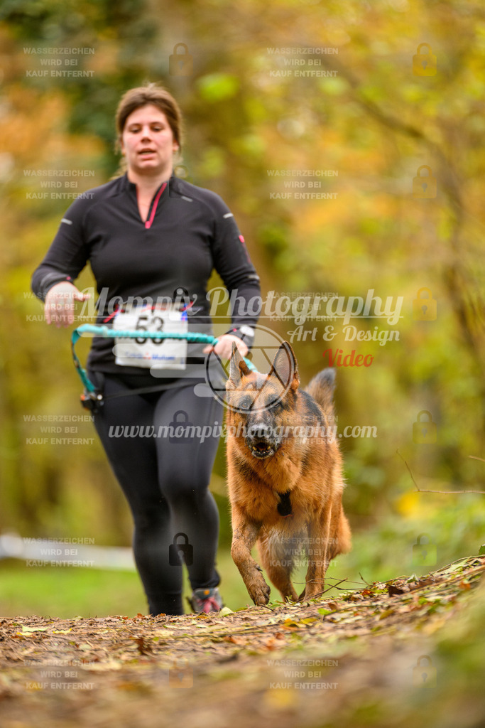 MompixPhotography_Bischwiller24_SA_Canicross-67 | PayLife