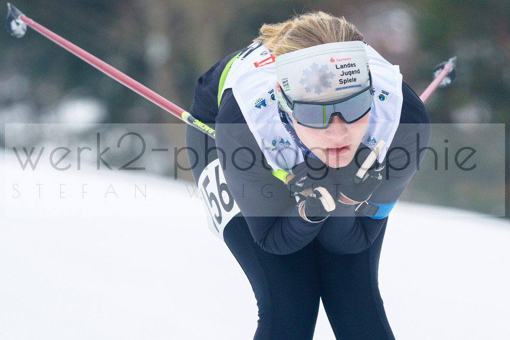 DSC Arber | Bayerischer Wald am 9. bis 12. Februar 2023
