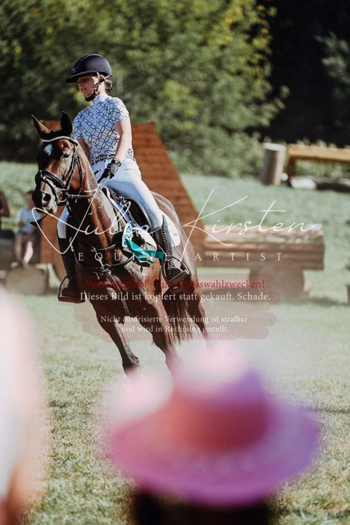 DSC_7000 | Pferde- und Turnierfotografie in Westsachsen. Pferdeportraits, Auftragszeichnungen und intuitive Kunst.