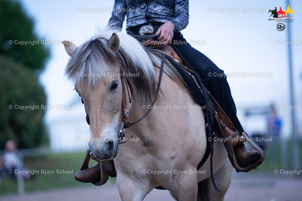 LMB07708 | BS-foto