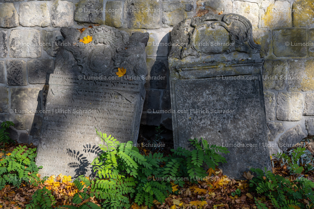 10049-12638 - Jüdische Friedhöfe Halberstadt | Stockfoto und Bilderpool mit Bildmaterial aus Deutschland, dem Harz, Halberstadt, Quedlinburg, Wernigerode und weltweit. Qualitativ hochwertige und professionelle Fotos anschauen und kaufen. - Realisiert mit Pictrs.com