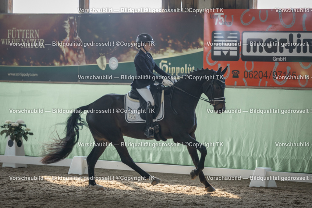 _D5A8484 | Emotionale Pferde- & People-Fotografie rund um Heidelberg, Leimen & Umgebung. Natürliche Fotos von Pferd, Mensch & Familie. Jetzt Termin sichern!