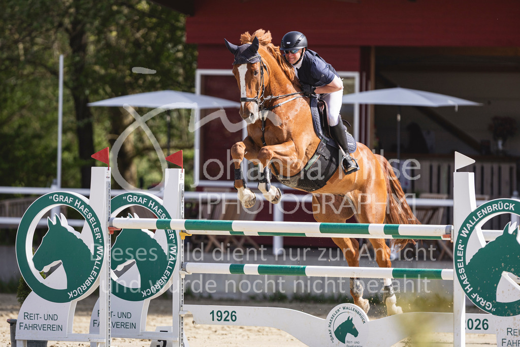 260503_Spenge_7_M2-Spr-m-steig-Anf-749 | Deine schönsten Turniermomente als professionelle Fotos! Entdecke hochwertige Pferdesport-Fotografie im Online-Shop. Jetzt Fotos finden & bestellen!