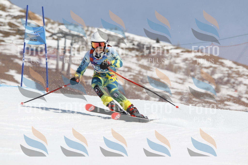 _U3G1279 | holidayphoto