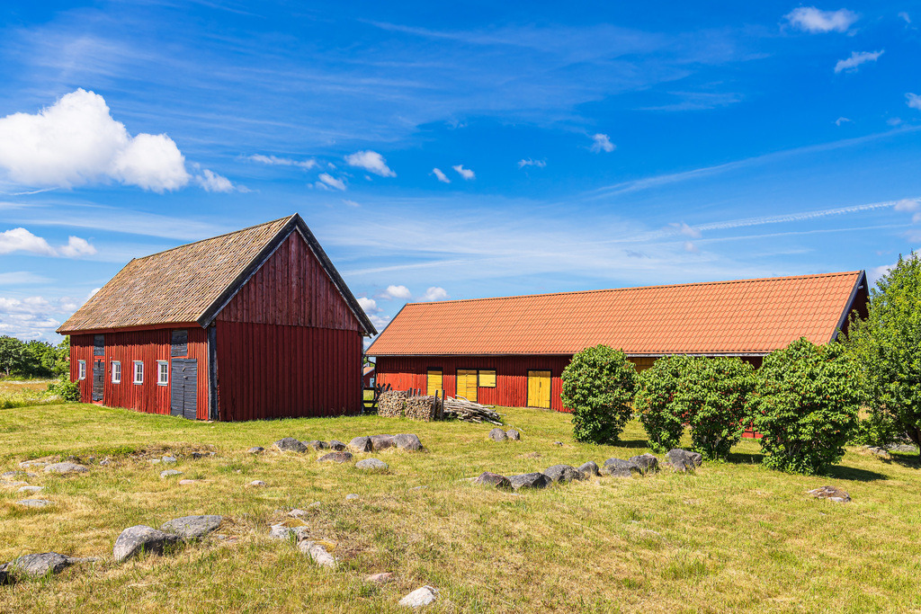 Rote Holzhäuser und Bäume auf der Insel Sladö in Schweden | Rote Holzhäuser und Bäume auf der Insel Sladö in Schweden.