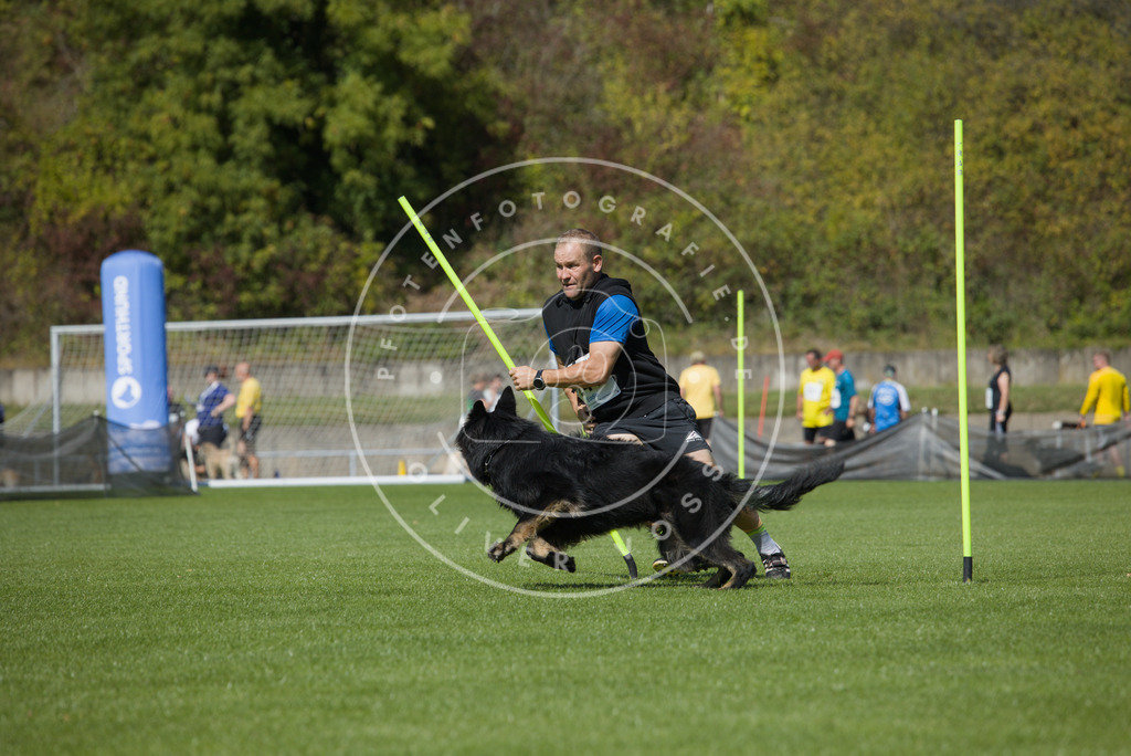 0L8A6156 | Hundefotografie, Tierfotograf, Pfotenfotografie, Fotoshooting Hund, Hunde Portrait, Hundesport, Hundeportraits, Heideshooting, Hunde, Sportfotograf, Hundefotograf, Turnierhundsport, THS,  - Realisiert mit Pictrs.com