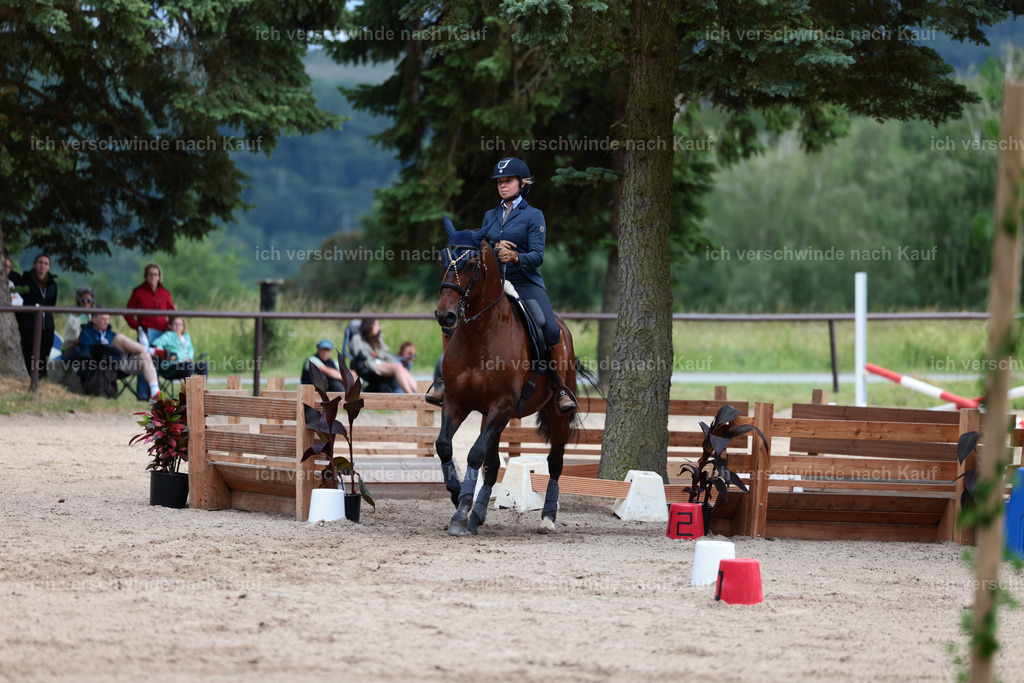 Masterclass_stoibphotography_C2_L6846.JPG | working equitationturnier fotograf videograf stoibphotography marixx film working equitation deutschland reitsport turnierfotografie eventfotografie equestrian events