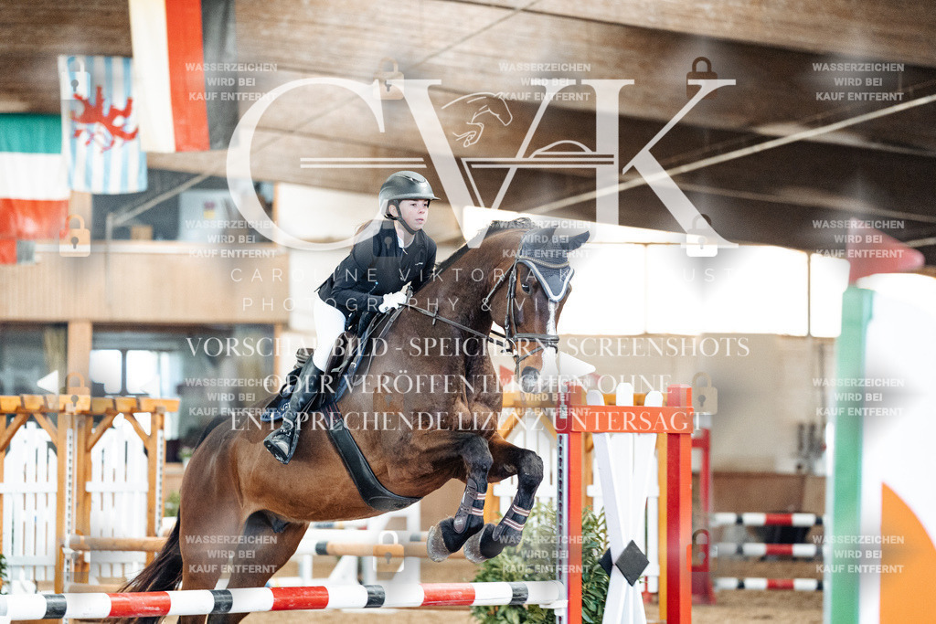 CK905202 | Turnierfotografie Pferdefotografie Trier Rheinland-Pfalz Pferdesport Reitsport Tierfotografie Sportfotografie Pferdevideo Pferdevideografie Equestrianvideography equestrianphotography  - Realisiert mit Pictrs.com