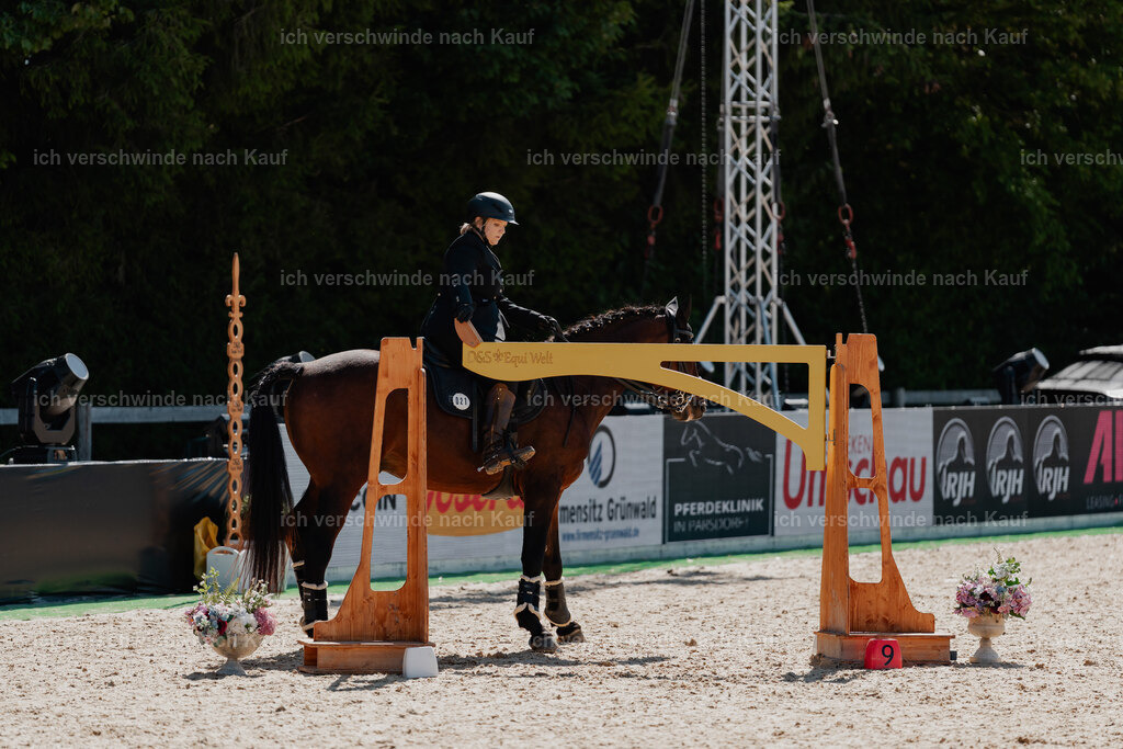 Lara_21_FHC2025-29 | working equitationturnier fotograf videograf stoibphotography marixx film working equitation deutschland reitsport turnierfotografie eventfotografie equestrian events