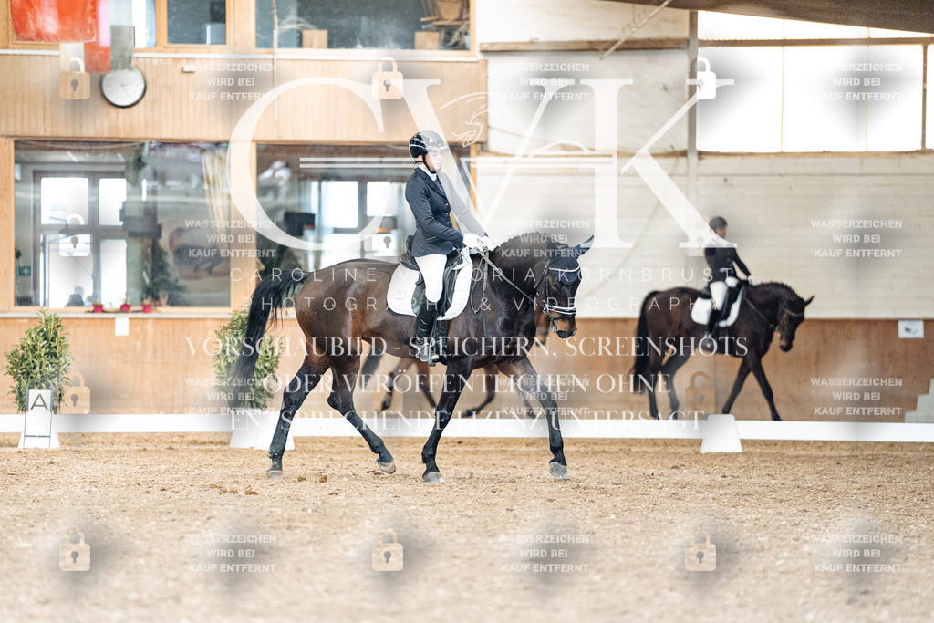 CK901419 | Turnierfotografie Pferdefotografie Trier Rheinland-Pfalz Pferdesport Reitsport Tierfotografie Sportfotografie Pferdevideo Pferdevideografie Equestrianvideography equestrianphotography  - Realisiert mit Pictrs.com