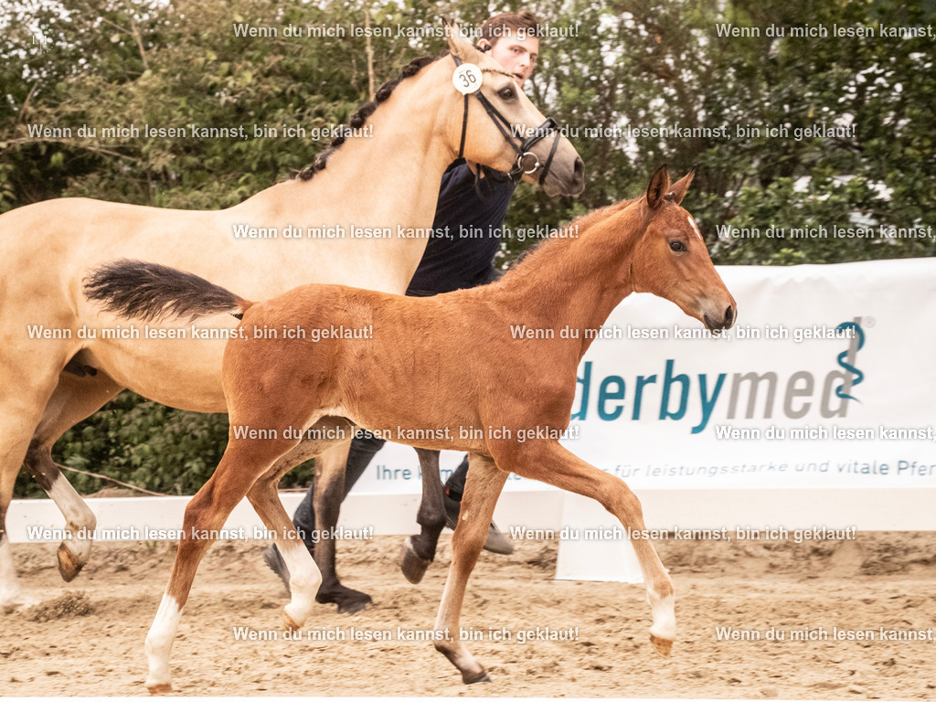 A10I2640 15.56.13 | photographylinaismer - Realisiert mit Pictrs.com