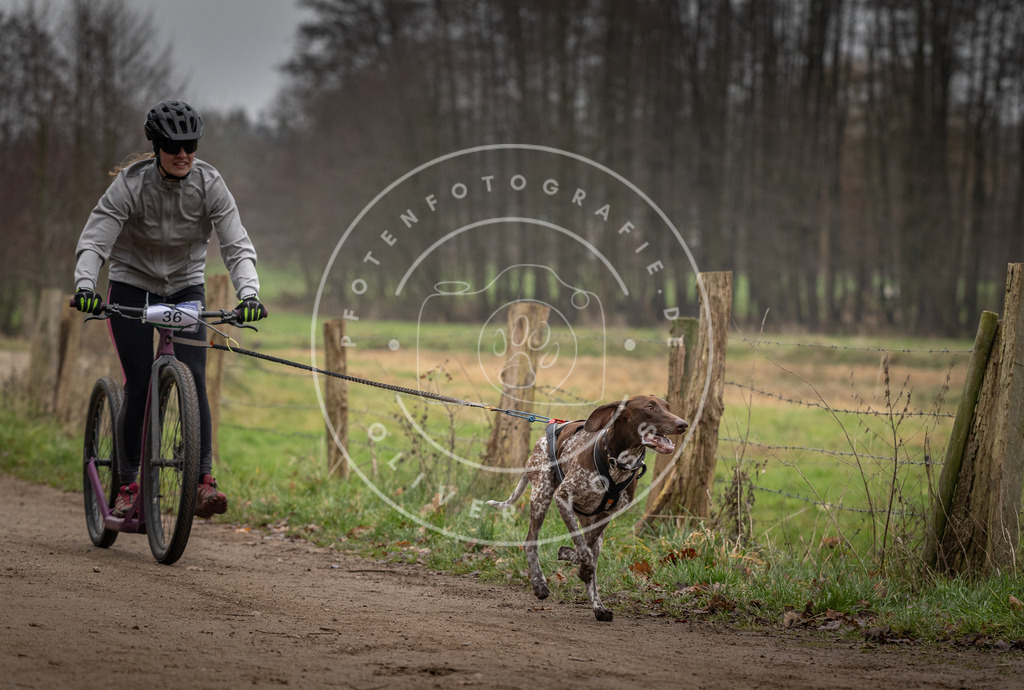 Pfotenfotografie_DV3A2432 | Hundefotografie, Tierfotograf, Pfotenfotografie, Fotoshooting Hund, Hunde Portrait, Hundesport, Hundeportraits, Heideshooting, Hunde, Sportfotograf, Hundefotograf, Turnierhundsport, THS,  - Realisiert mit Pictrs.com