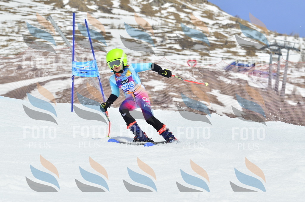 _ELE2832 | holidayphoto