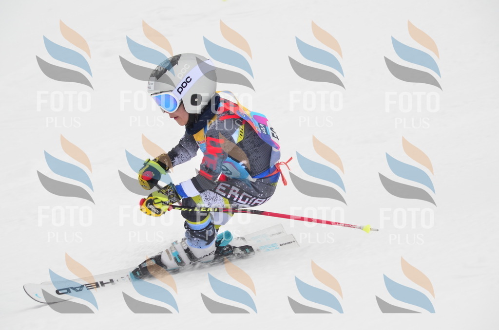 C1035 | holidayphoto