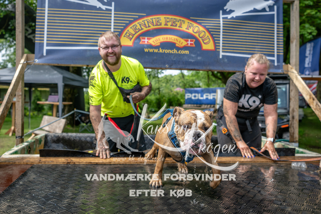 1115_ZZ93510 | kk-dogfotos