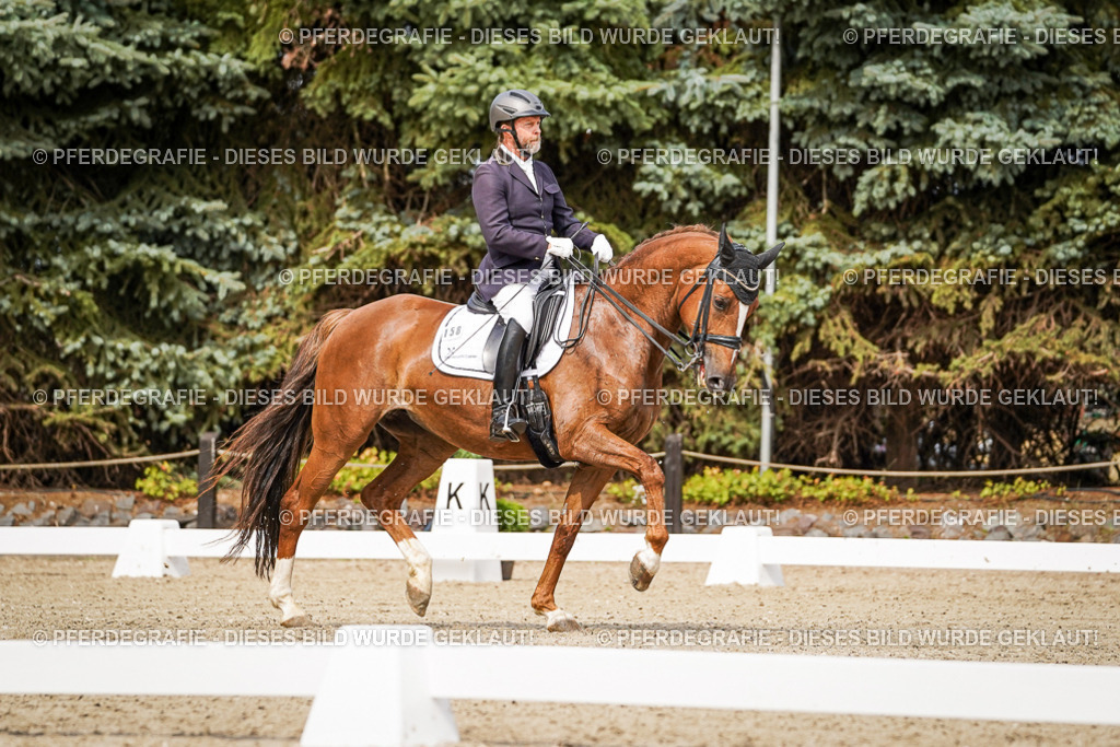 DSC05702 | Pferdegrafie