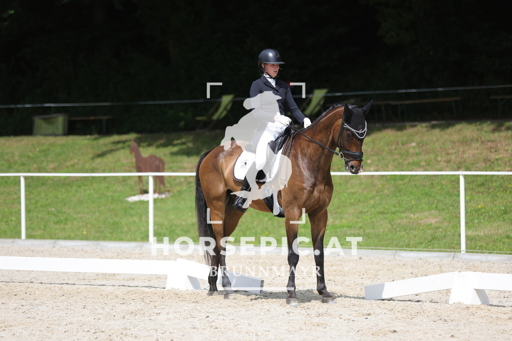 0P6A9826 | Willkommen bei Brunnmayr - Design & Fotografie – Ihrem Spezialisten für Reitturniere und Pferdeveranstaltungen in Oberösterreich, Salzburg und Bayern! Seit über 17 Jahren sind wir leidenschaftlich dabei.