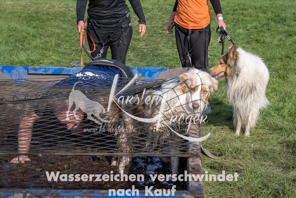 1641_ZZ92774 | kk-dogfotos