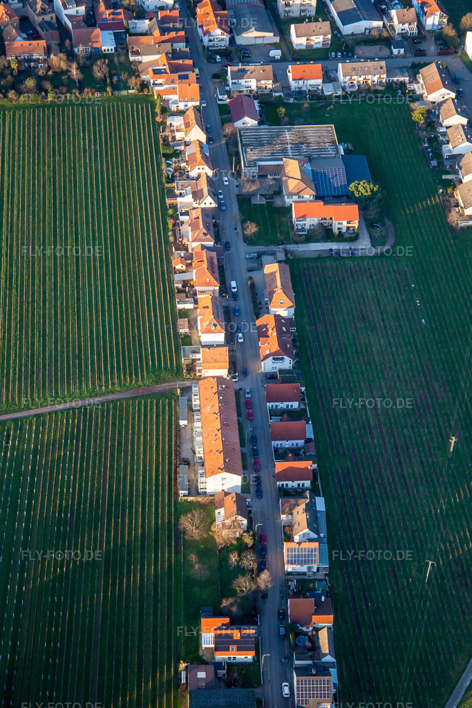 Luftbild: Schanzstraße in Edenkoben im Bundesland Rheinland-Pfalz in Deutschland. Foto: IMG_135849.jpg vom 18.01.2023 durch Werner Riehm/FLY-FOTO.deauf der der Stadt Edenkoben