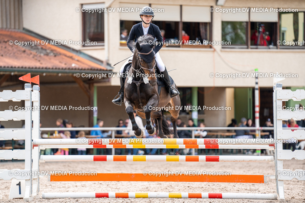 Eppelheim Tag 2-540 | dv-media-shop - Realisiert mit Pictrs.com