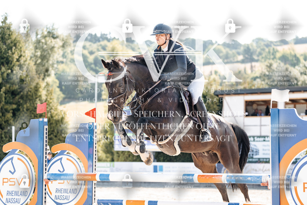 CK902494 | Turnierfotografie Pferdefotografie Trier Rheinland-Pfalz Pferdesport Reitsport Tierfotografie Sportfotografie Pferdevideo Pferdevideografie Equestrianvideography equestrianphotography  - Realisiert mit Pictrs.com
