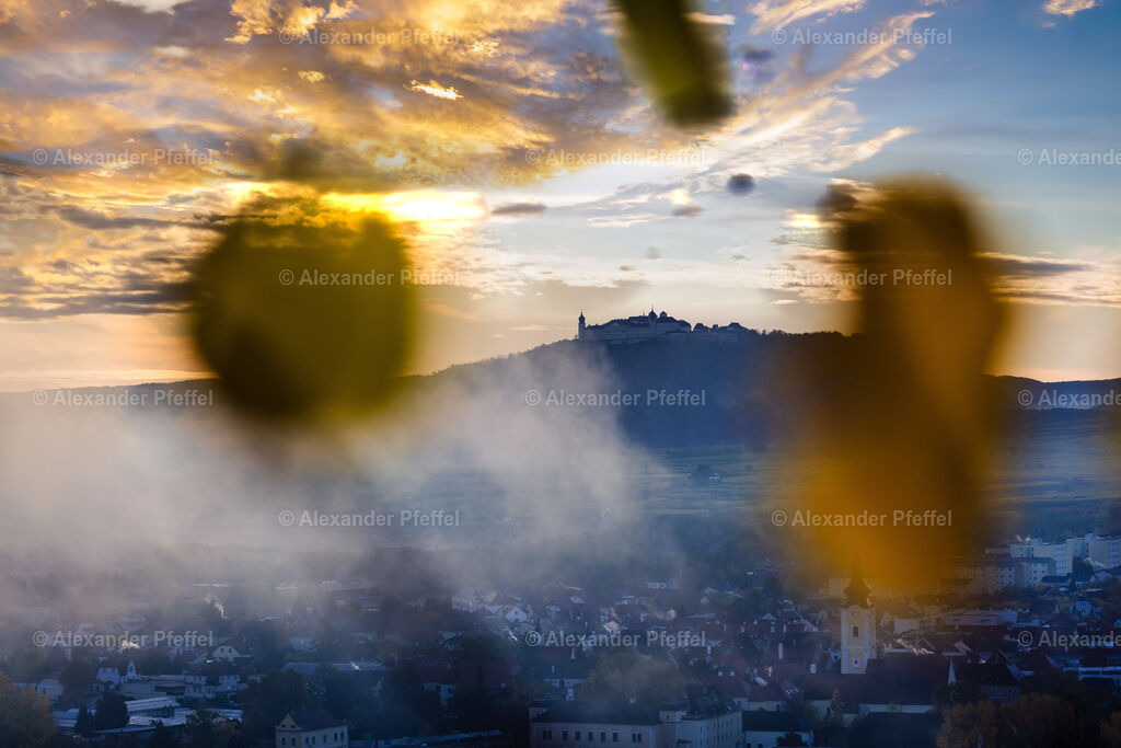 foto_c_pfeffel-partner-0098-R52_0344-Bearbeitet | alexander-pfeffel - Realisiert mit Pictrs.com