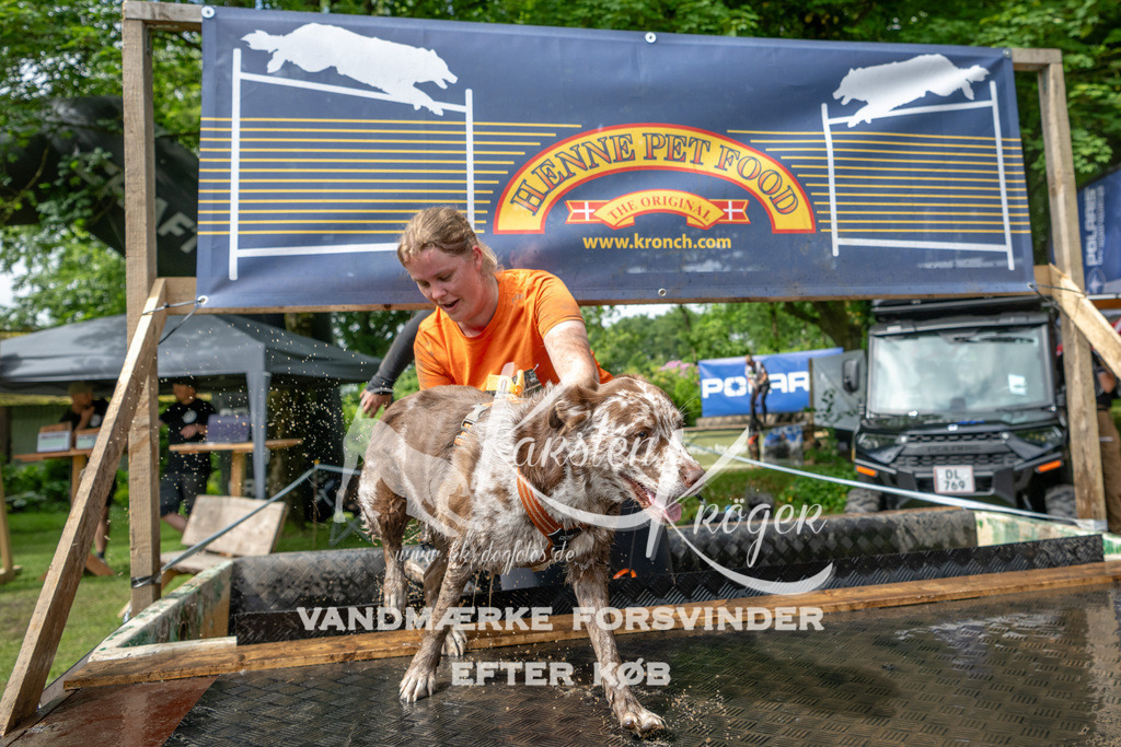 1037_ZZ91503 | kk-dogfotos