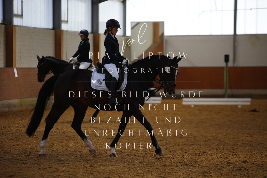 IMGT4002 | pl-fotografie