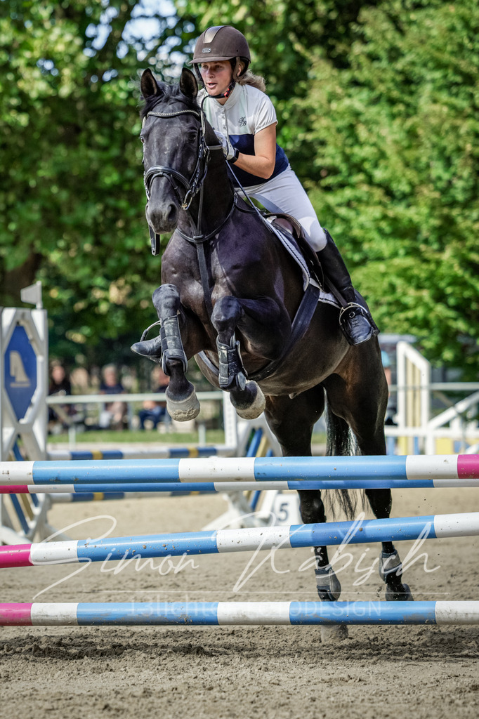 20250906-_3LI6284 | Tierfotografie Pferde, Hunde, Katzen, Haustiere.
Turnierfotografie Reitturniere, Reiten, Springreiten, Dressur in Hanau, dem Main-Kinzig-Kreis und dem Rhein-Main- Gebiet um Frankfurt