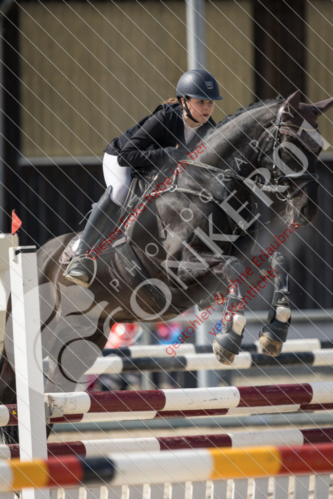 IMG_4328 | Sport-, Event- und Tierfotos in Profiqualität. Einfach auswählen, bestellen und herunterladen. Dein Moment – perfekt festgehalten.