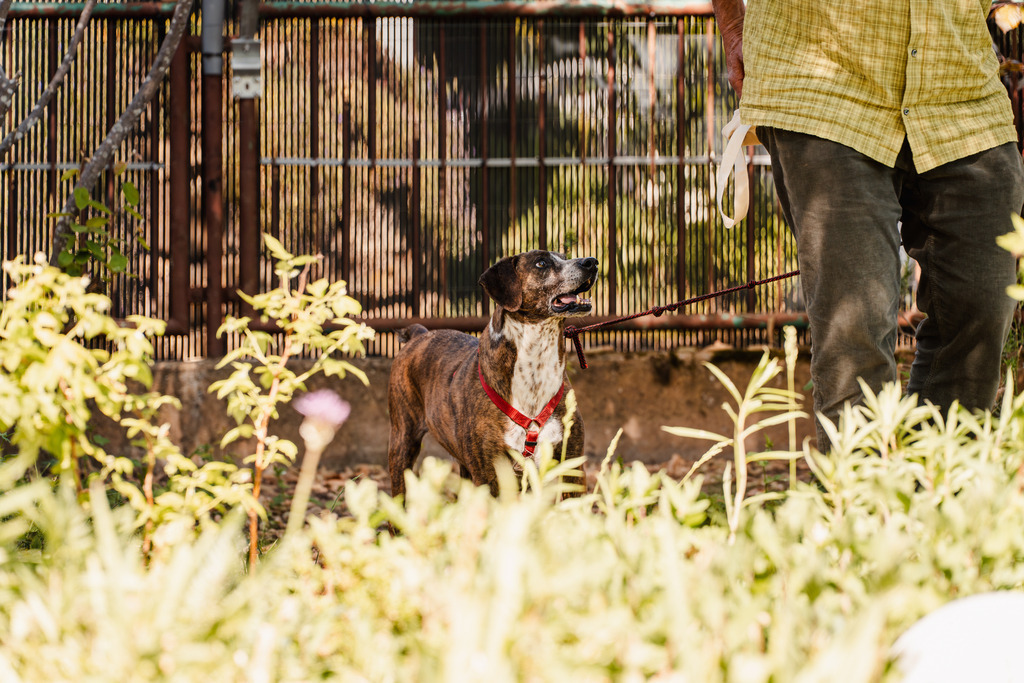 20260426-108 | MuT (Mensch und Tier) mit Mona - Fotografie und Tierkommunikation - Realisiert mit Pictrs.com