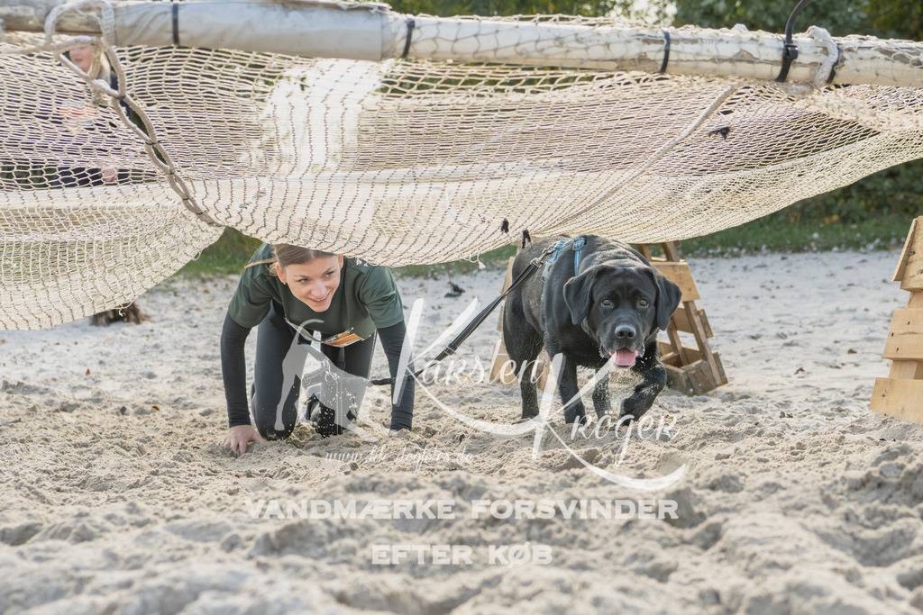 1248_ZZ93619 | kk-dogfotos