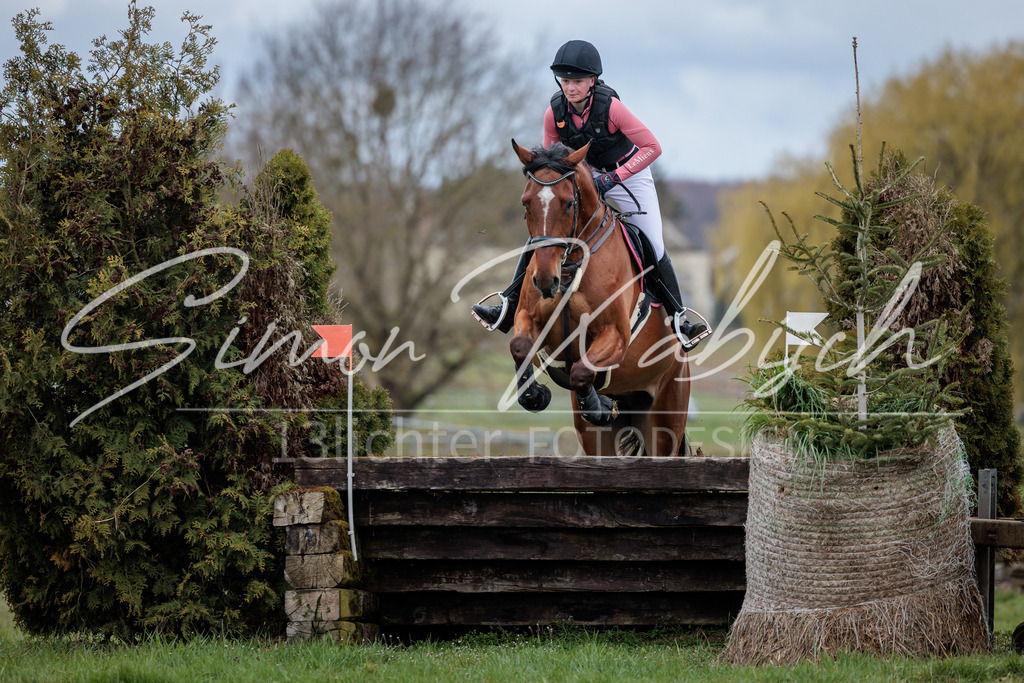20260329-_3LI5699 | Tierfotografie Pferde, Hunde, Katzen, Haustiere.
Turnierfotografie Reitturniere, Reiten, Springreiten, Dressur in Hanau, dem Main-Kinzig-Kreis und dem Rhein-Main- Gebiet um Frankfurt