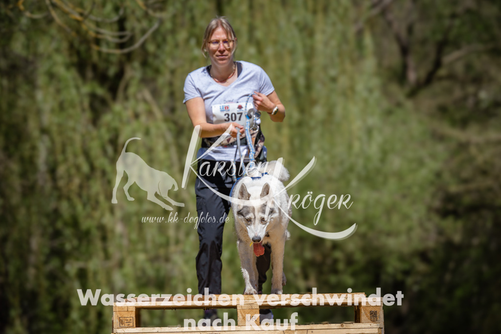 1223_ZZ91429 | kk-dogfotos