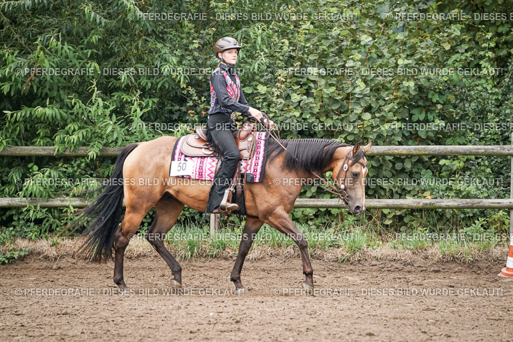 DSC02510 | Pferdegrafie